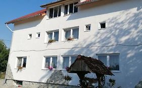 Casa Tonyza